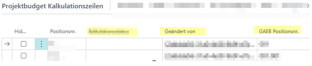Projektbudget Kalkulationszeilen