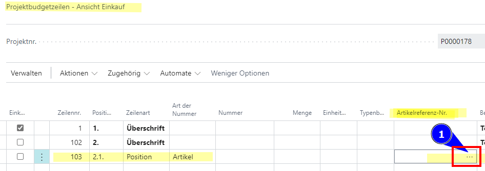 Projektbudget - Ansicht Einkauf