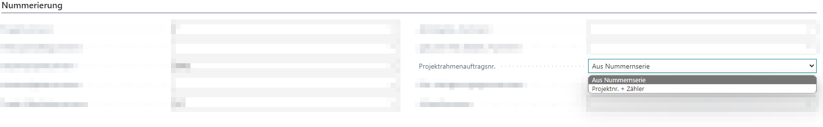 Projektrahmenauftragsnummer einrichten