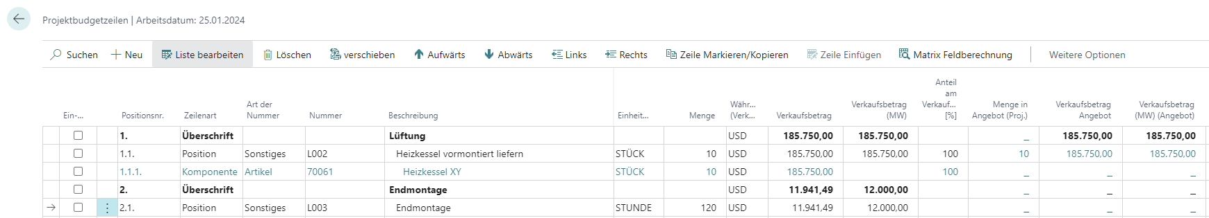 Projektbudgetzeile nicht in Angebot enthalten