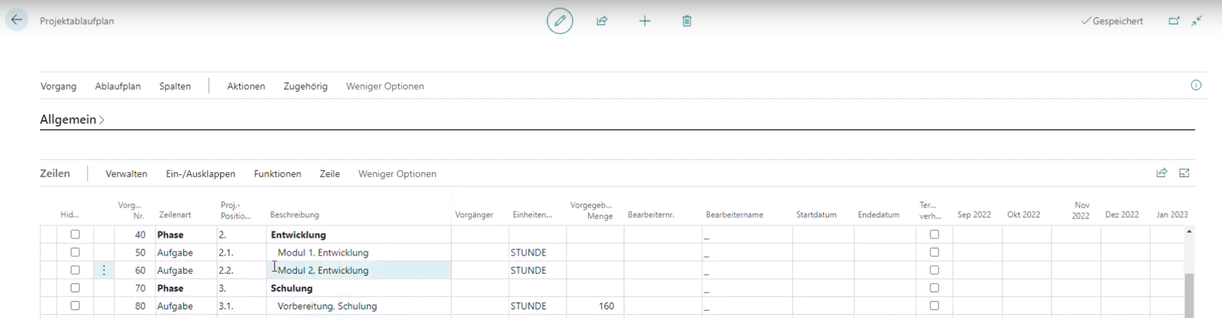 Projektablaufplan mit übertragenen Projektbudgetzeilen