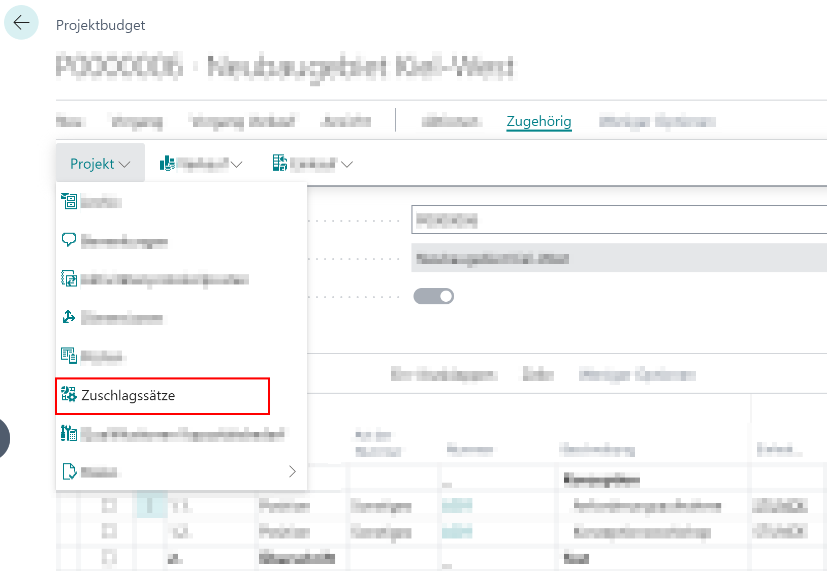 Zuschlagssätze für Projektbudget anzeigen